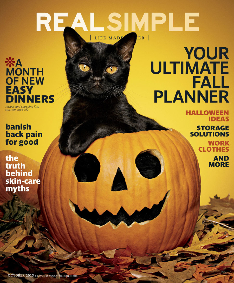 Cats: Real Simple Magazine, Bombay Black Kitten in Pumpkin
