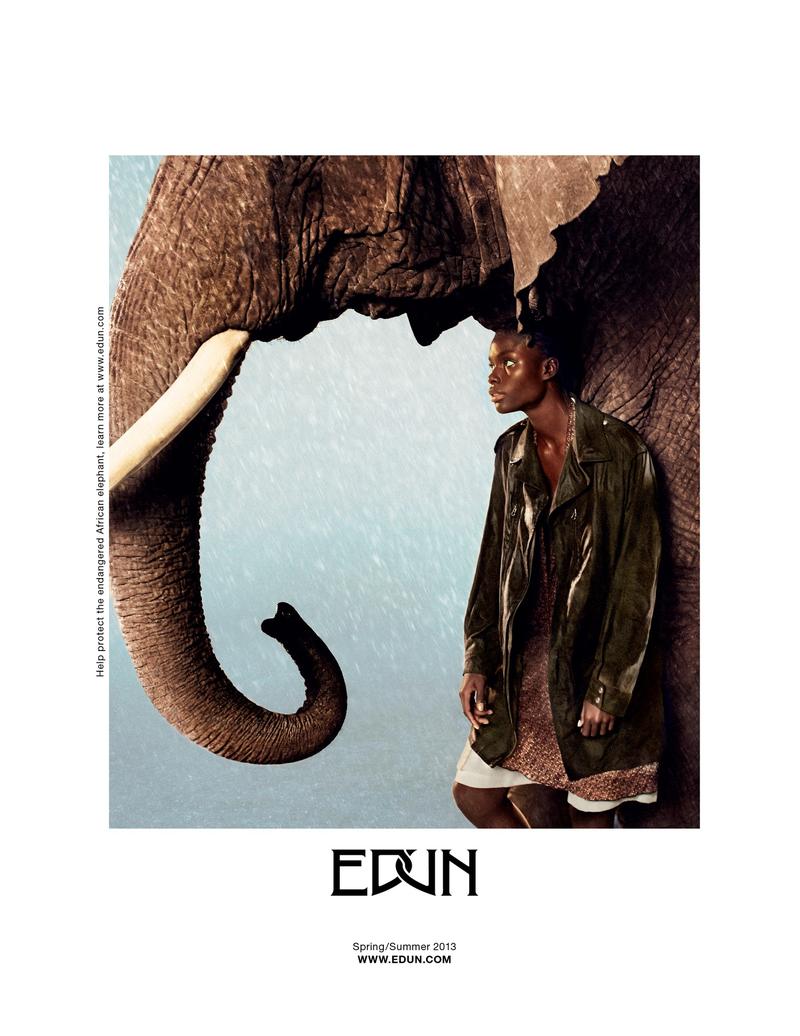 Exotic Animals: Edun, Elephant