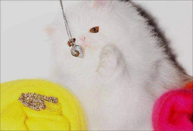 Juicy Couture, Pearsian Kitten