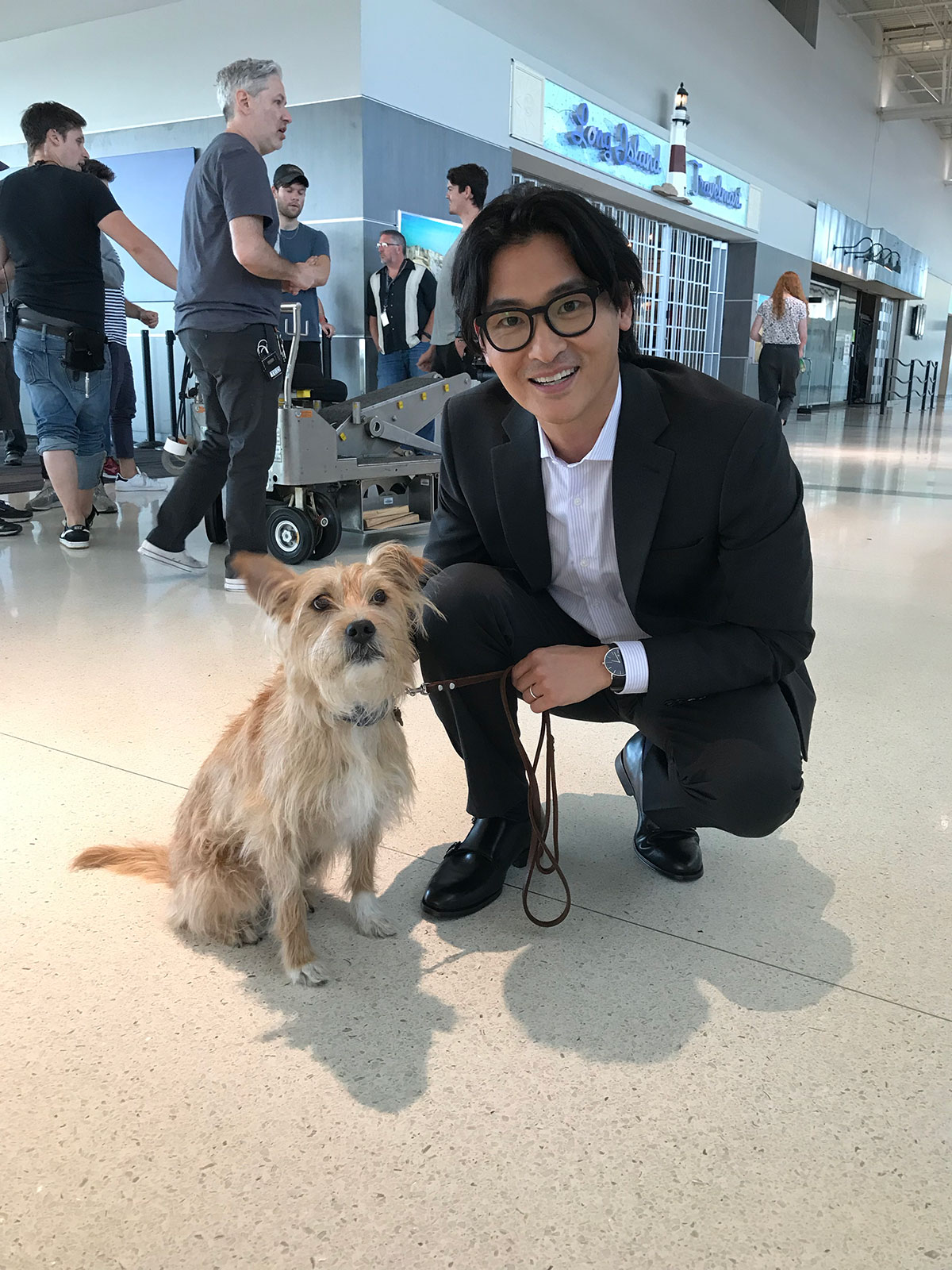 Clear, Airport, Dog