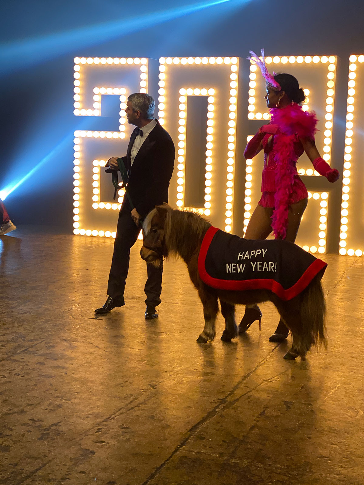 CNN, NYE, New Years Eve, Andy Cohen, Anderson Cooper, mini horse, pony