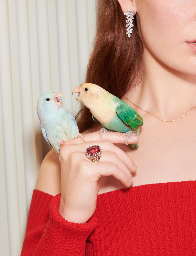 Birds: Tiffany & Company, Colorful Love Birds Parakeets