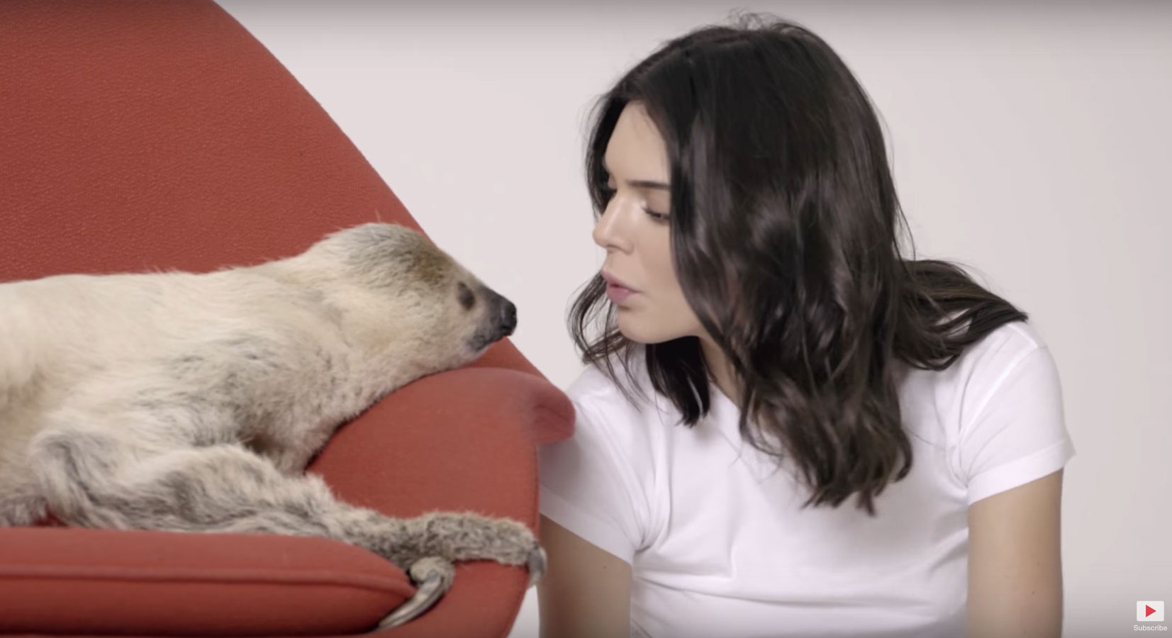 Exotic Animals: Allure Magazine, Kendall Jenner and Sloth