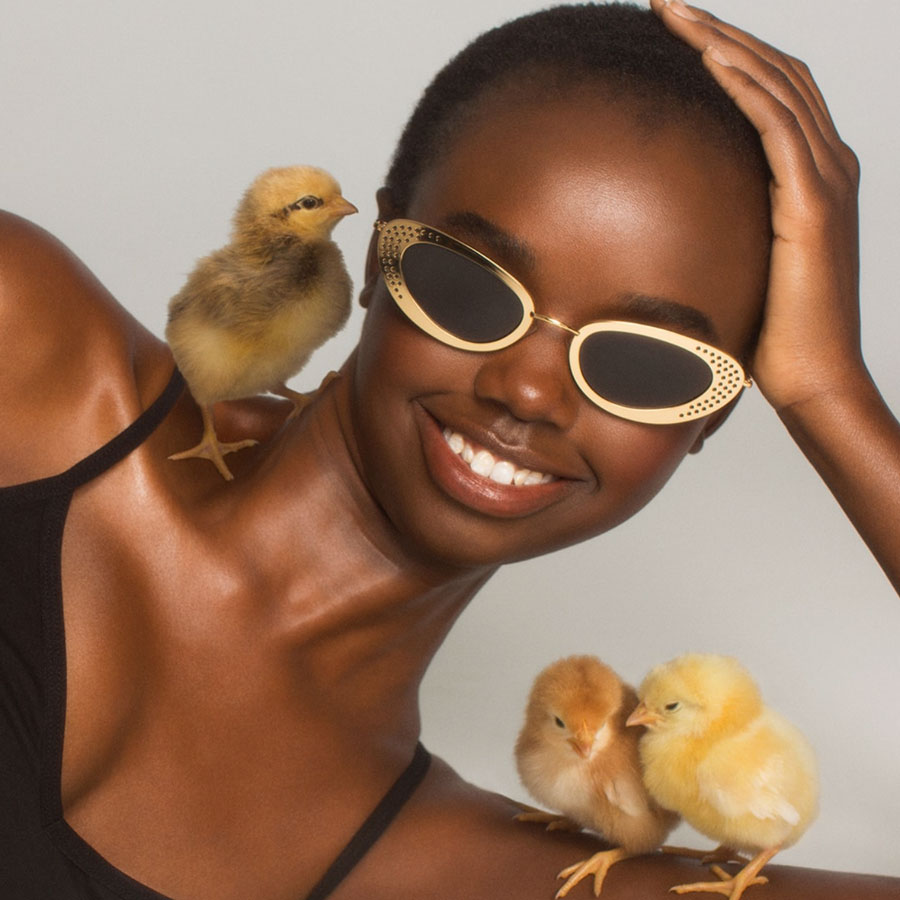 Farm Animals: Le Spec, Chicks, Baby Chickens