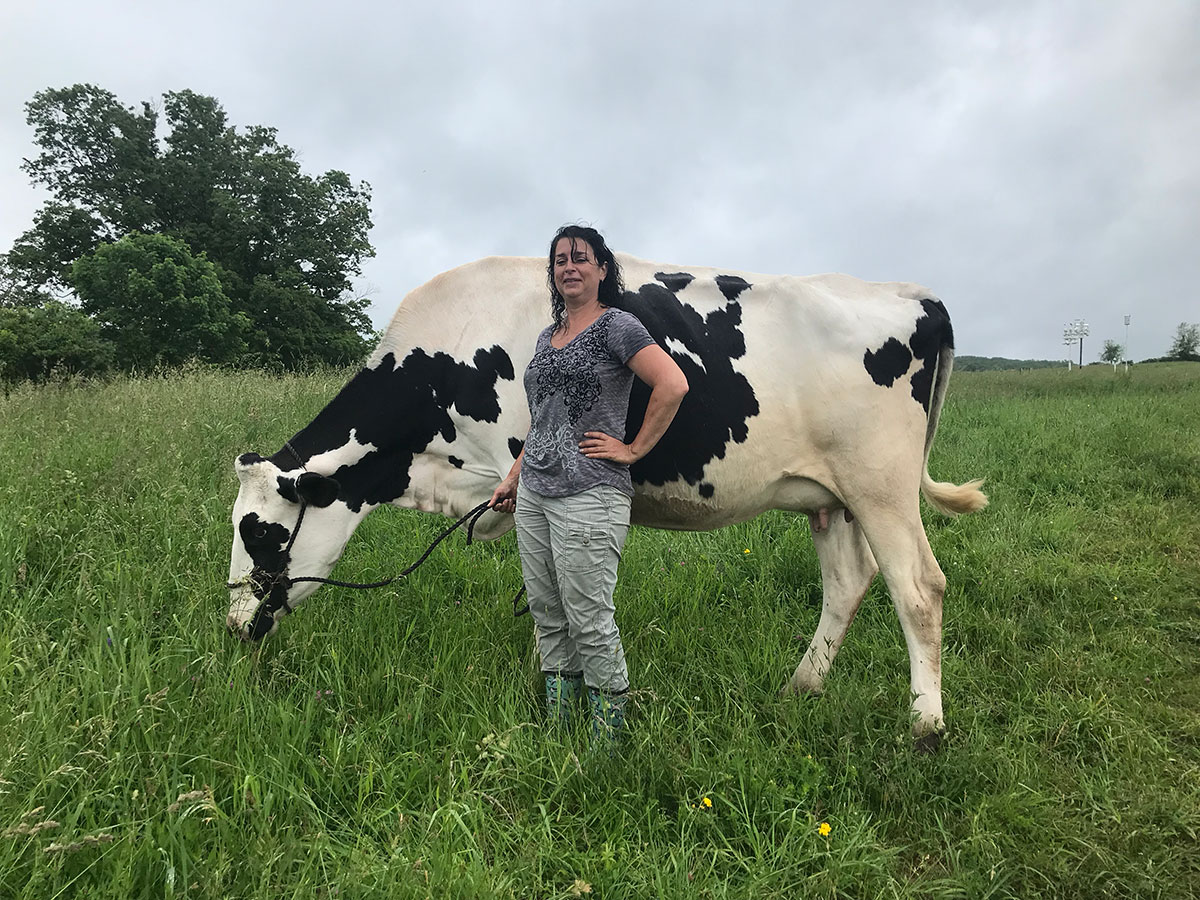 Zara Kids, Holstein Cow